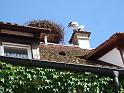 DSC06199