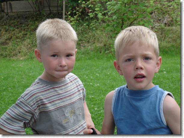 Nchstes Bild