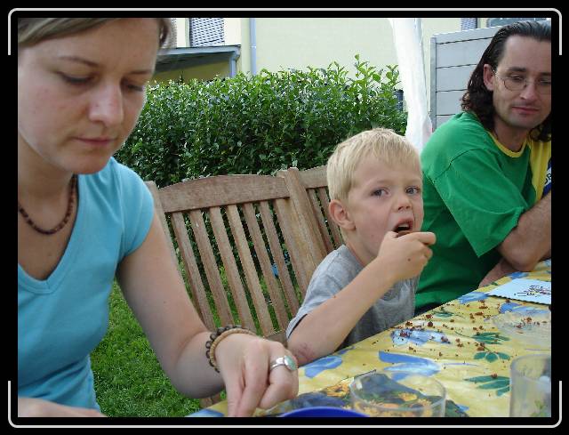 Nchstes Bild