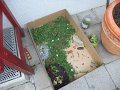 DSCF2318