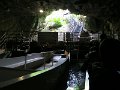 IMG_2019