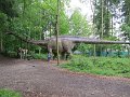 IMG_1993