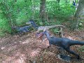 IMG_1998