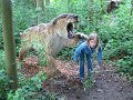 IMG_2003