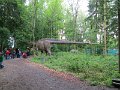 IMG_2006