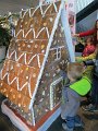 IMG_1385