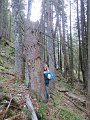 IMG_1420