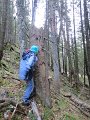 IMG_1421