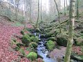 IMG_5967