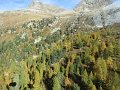 IMG_1322
