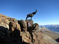 IMG_1326