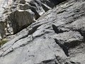 IMG_1264
