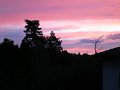 IMG_8233