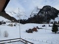 IMG_1591