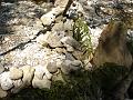 DSC04691