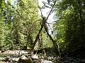 DSC04692