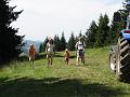 DSC04698