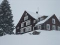 DSCF3696