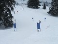 DSCF3731