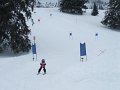 DSCF3732