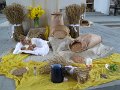 IMG_1831